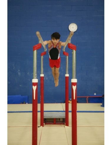 Gymnastics for boys (6/12...